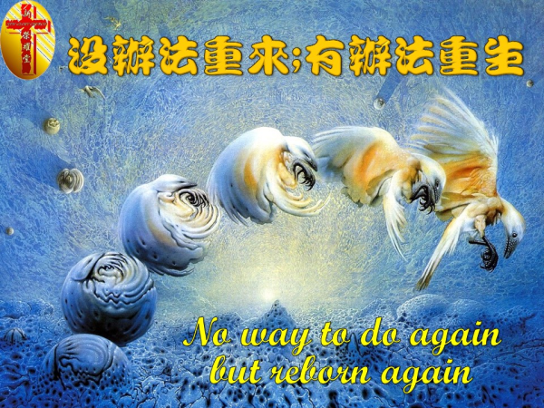 圖片-04.JPG