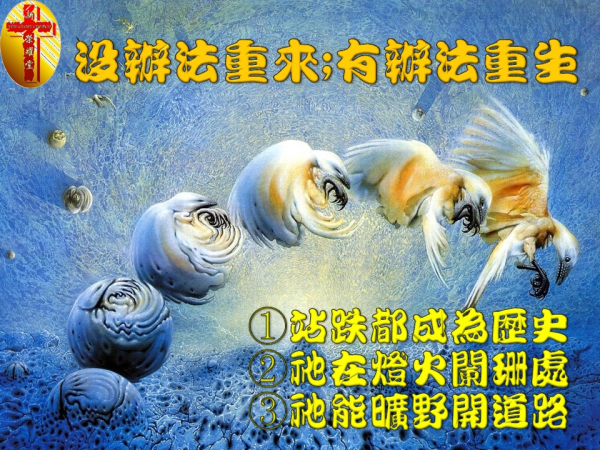 圖片-投影片11.JPG