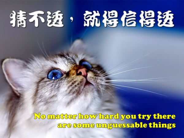圖片-01.JPG