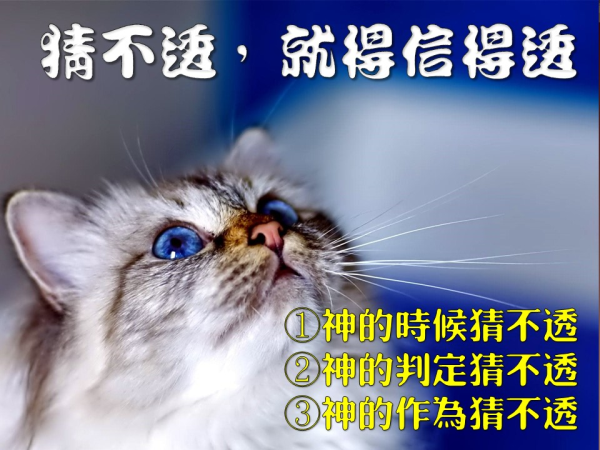 圖片-投影片11.JPG