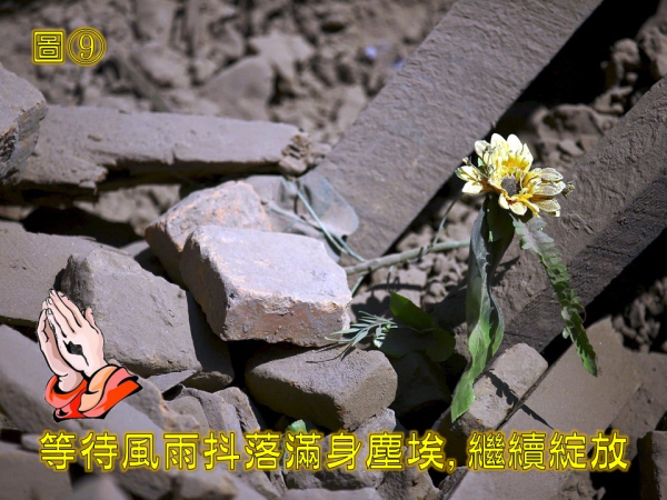 圖片-09.JPG