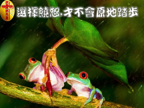 圖片-01.jpg