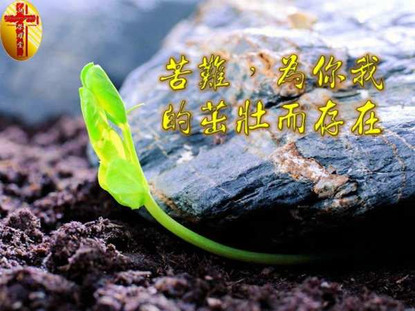 圖片-01.jpg
