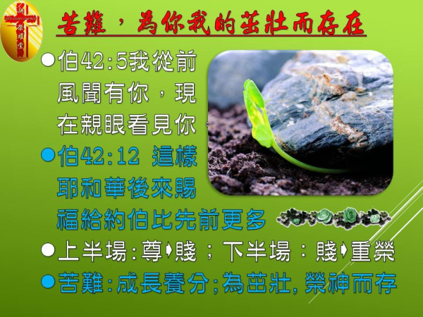 圖片-17.jpg