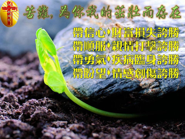 圖片-18.jpg