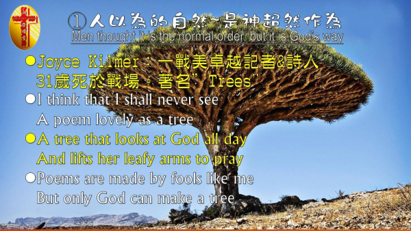圖片-06.jpg