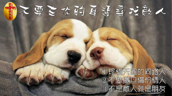 圖片-13.jpg