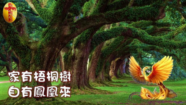 圖片-02.jpg