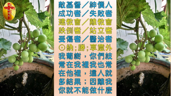 圖片-02.jpg