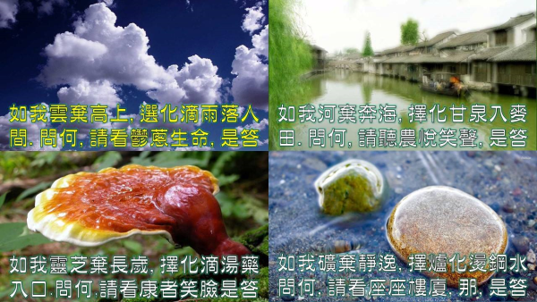 圖片-11.jpg