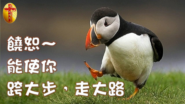 圖片-01.jpg
