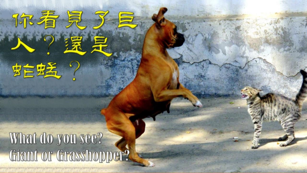 圖片-01.jpg