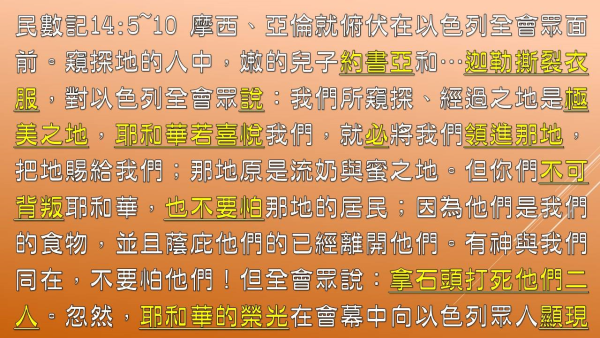 圖片-06.jpg
