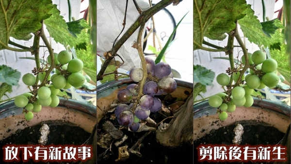 圖片-01.jpg