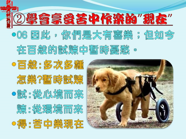 圖片-04.jpg