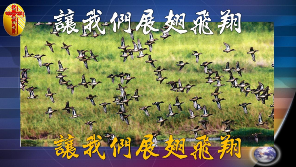 圖片-11.jpg