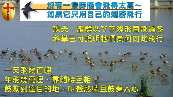 圖片-12.jpg