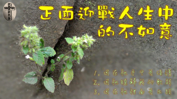 圖片-12.jpg