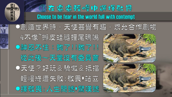 圖片-11.jpg