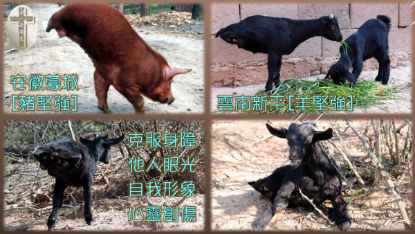 圖片-01.jpg