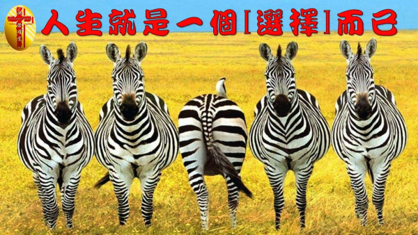 圖片-01.jpg