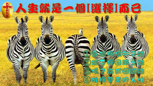 圖片-13.jpg