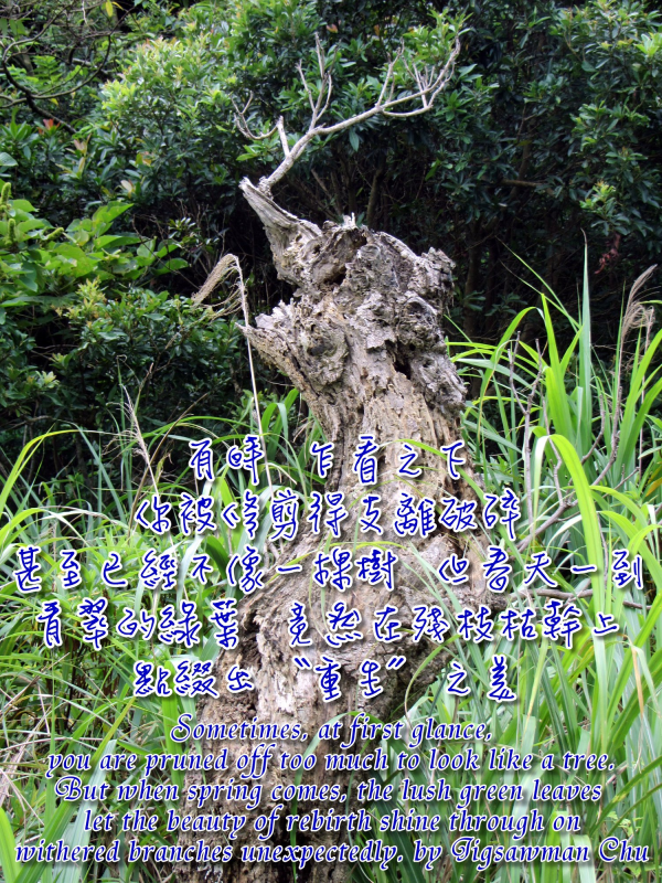 圖片-07.jpg