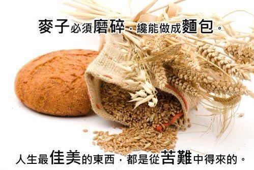 圖片-11061328_1595369137416268_7694468752471575423_n.jpg