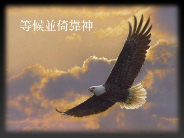 圖片-11230651_1661323020820879_3590557354977503252_n.jpg