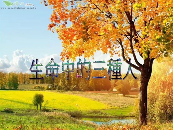 圖片-12074489_1675538209399360_5758907018159258696_n.jpg