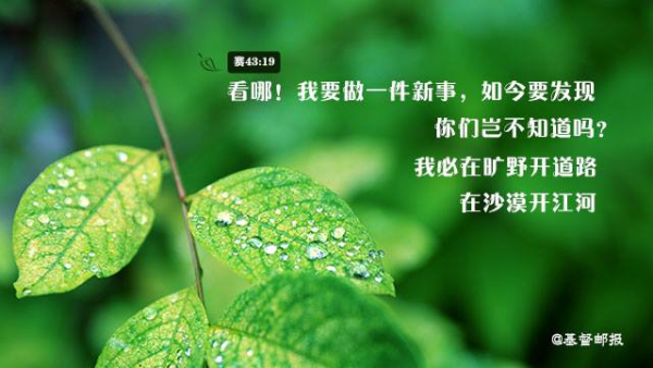 圖片-12790902_1728532064099974_7970778751096301793_n.jpg