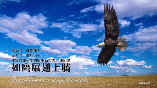 圖片-14063973_1808715626081617_5233619055433533174_n.jpg