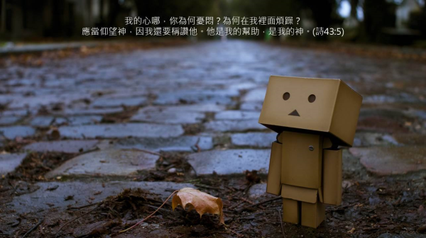 圖片-16251921_1896248063995039_2455450050689823996_o.jpg