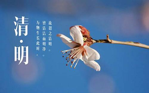 圖片-17626552_1929869667299545_7937877417870902346_n.jpg
