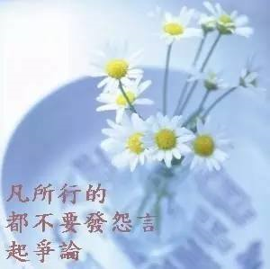 圖片-18402902_1952643421688836_741707829946973808_n.jpg