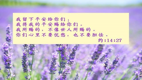 圖片-20915621_2008394659447045_7843208669421839661_n.jpg