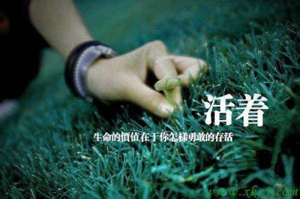 圖片-21192053_2013263498960161_4171966429203725319_n.jpg