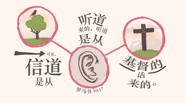 圖片-22553301_2038380899781754_8181950968000969604_o.jpg