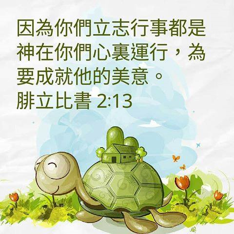 圖片-26231119_2077653082521202_3025264135529682529_n.jpg
