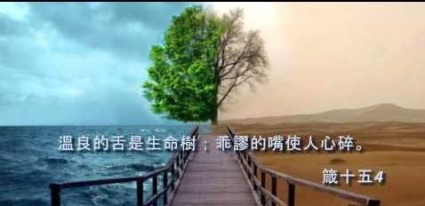 圖片-28168260_2104360239850486_2344855659136033123_n.jpg