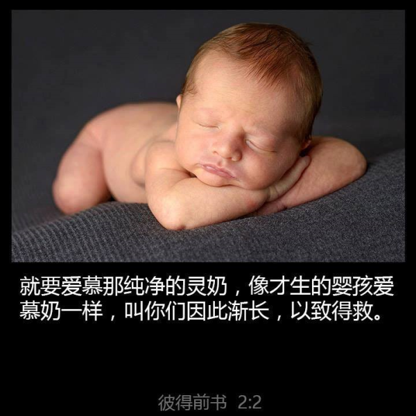 圖片-36497880_2181618168791359_6266769606019383296_n.jpg