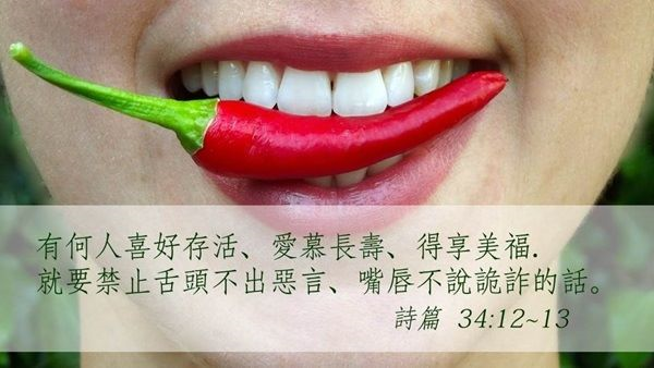 圖片-36621264_2182622062024303_9130729119833653248_n.jpg