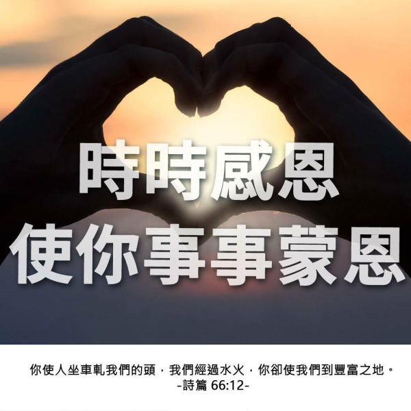 圖片-40262233_2241696372783538_7959520095452004352_o.jpg