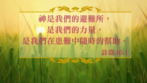 圖片-43040090_2262743690678806_8585169566303256576_o.jpg