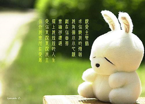 圖片-43122648_2263400247279817_2669485280142032896_n.jpg