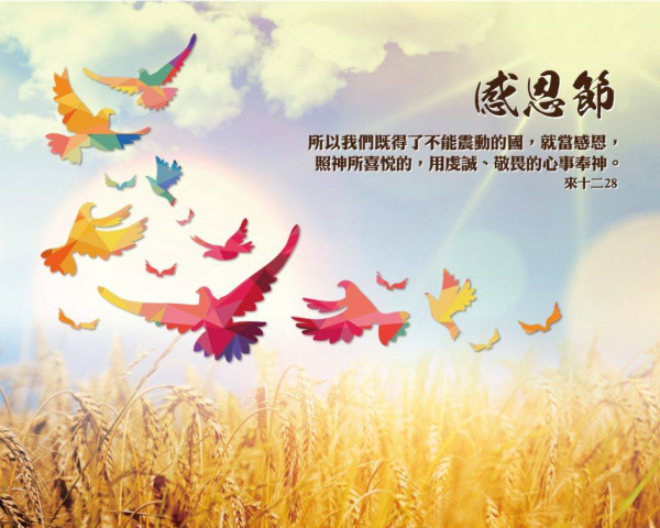 圖片-46693461_2294079100878598_2859779037461479424_o.jpg