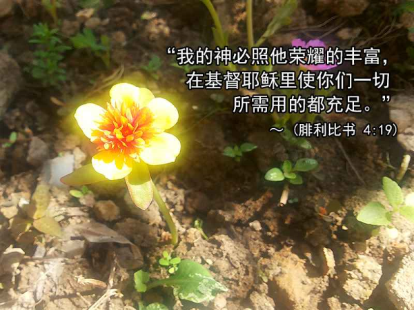 圖片-48393562_2310949629191545_6390001421856538624_n.jpg