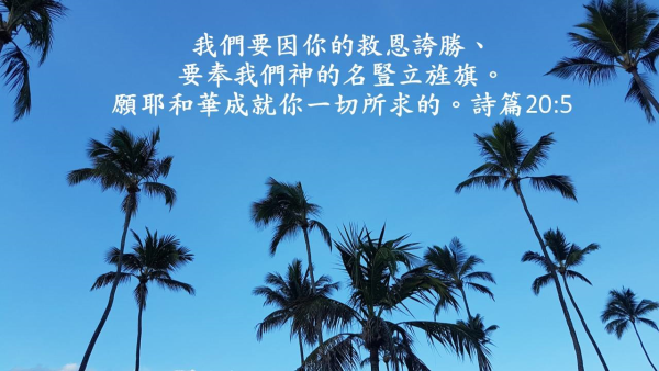 圖片-49895551_2323133637973144_2924049795662217216_o.jpg