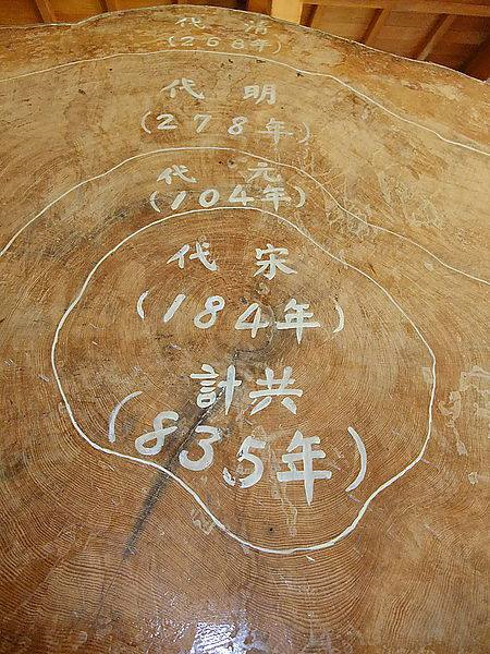 圖片-49212707_2331263900493451_7362192197296324608_n.jpg