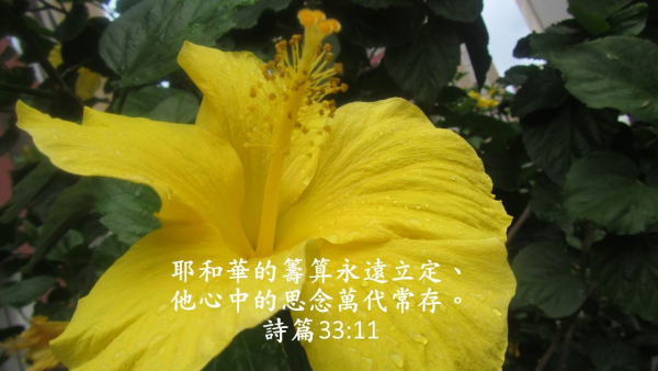 圖片-50803431_2331980240421817_6822013413154095104_o.jpg